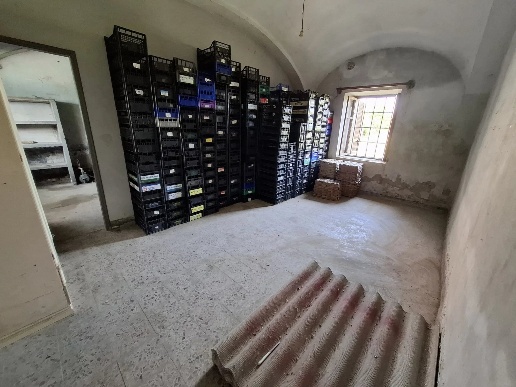 immagine annuncio 10 di 15