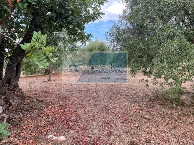 Foto Terreno agricolo in Contrada Trigona, Solarino in vendita