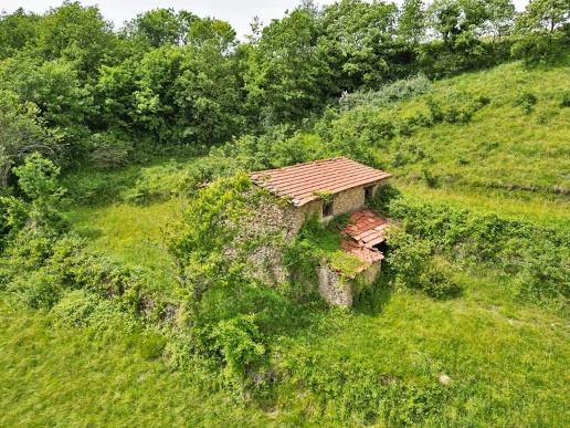 immagine annuncio 4 di 12