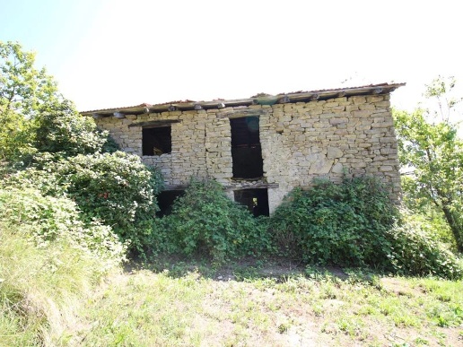 immagine annuncio 5 di 12