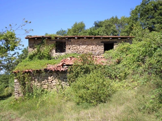 immagine annuncio 6 di 12