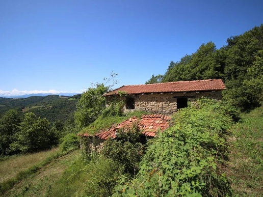 immagine annuncio 7 di 12