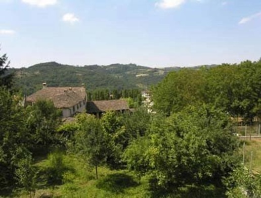 immagine annuncio 4 di 8