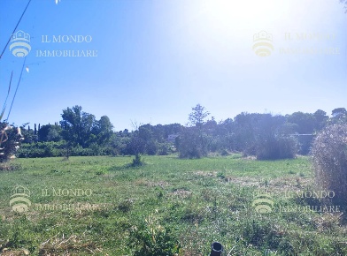 Foto Terreno agricolo in Località Albanetta, Palombara Sabina in vendita