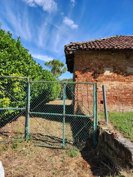 immagine annuncio 1 di 14