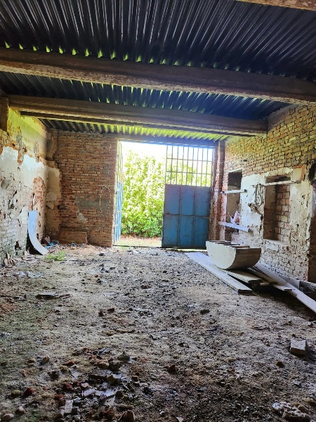 immagine annuncio 12 di 14