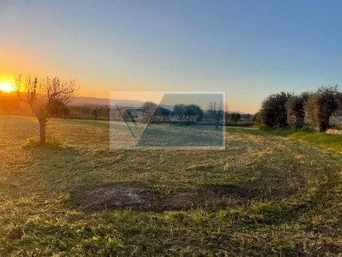 Foto Terreno agricolo in C.da Carancino, Siracusa Belvedere - Tremmilia