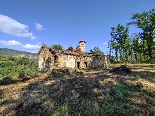 immagine annuncio 1 di 13