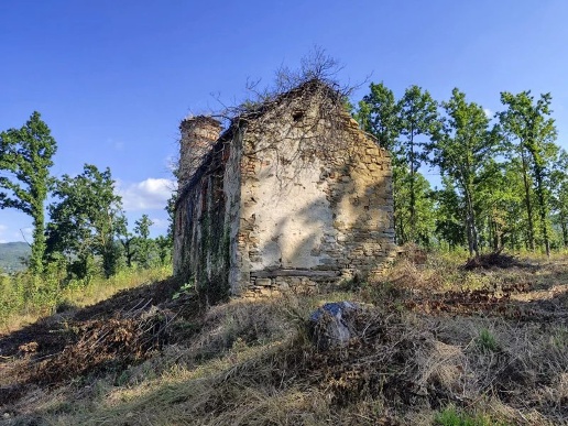 immagine annuncio 2 di 13