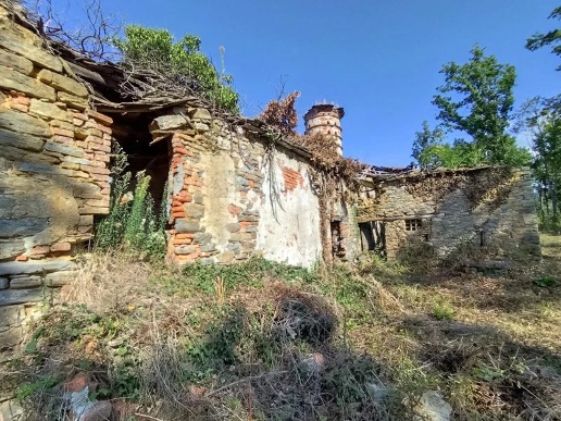 immagine annuncio 3 di 13