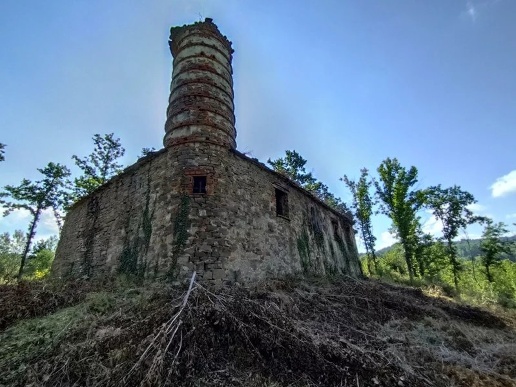 immagine annuncio 7 di 13