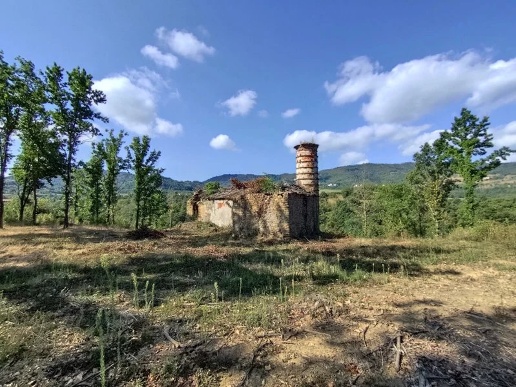 immagine annuncio 9 di 13