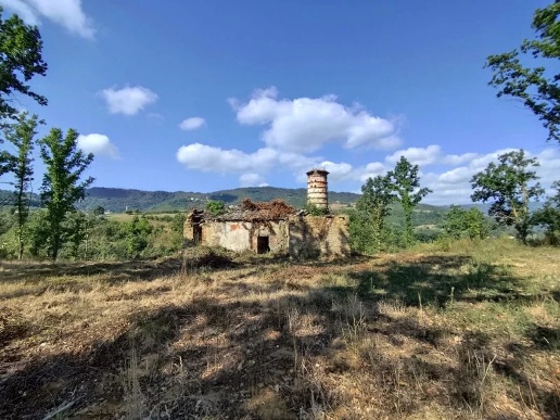 immagine annuncio 10 di 13