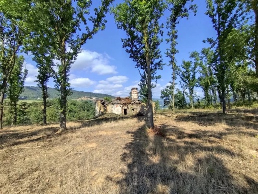 immagine annuncio 11 di 13