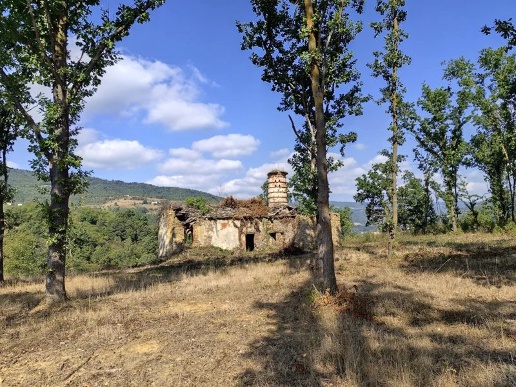 immagine annuncio 12 di 13