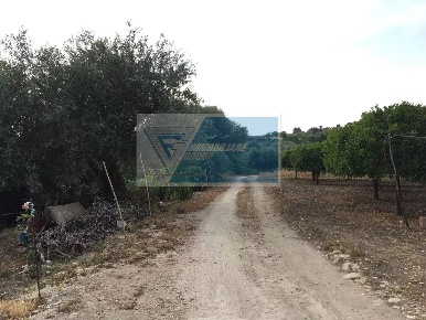 Foto Terreno agricolo in Contrada Carancino, Siracusa Belvedere - Tremmilia