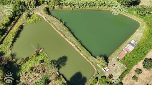 Foto Terreno in Località Albanetta, Palombara Sabina in vendita