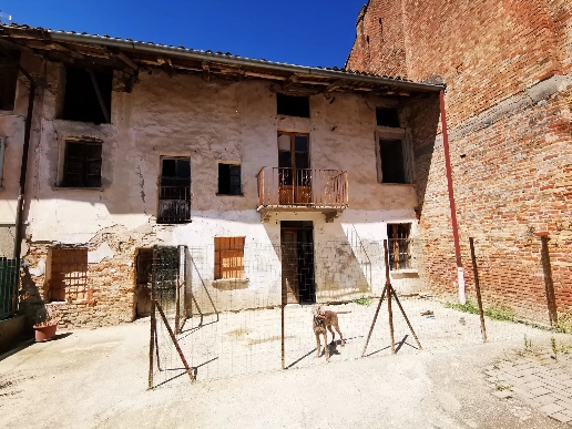 immagine annuncio 4 di 14