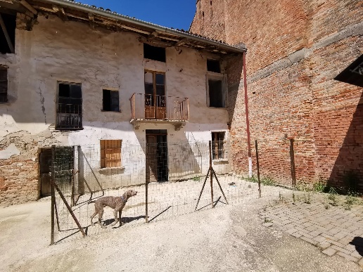 immagine annuncio 6 di 14