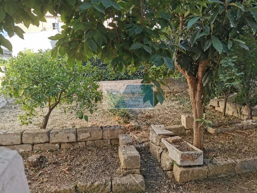 immagine annuncio 5 di 8