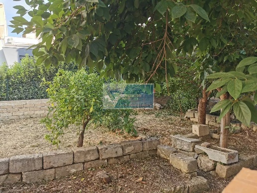 immagine annuncio 6 di 8