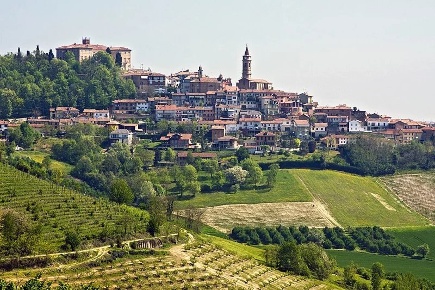 Foto Terreno agricolo a Govone in vendita