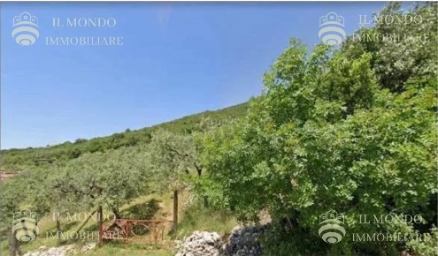 Foto Terreno agricolo in Strada di Piedimonte snc, Palombara Sabina