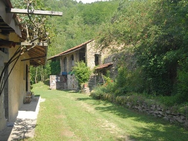 Foto Rustico a Bosia con 9 locali in vendita