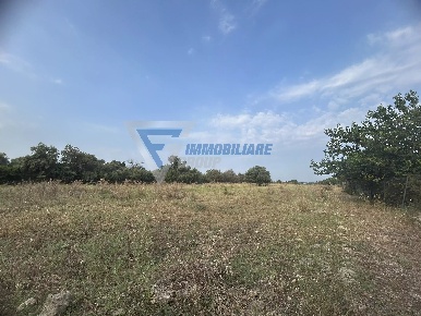 Foto Terreno agricolo in Traversa Masseria Gargallo, Siracusa in vendita