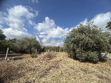 Foto Villa unifamiliare in Traversa Masseria Gargallo, Siracusa Tivoli