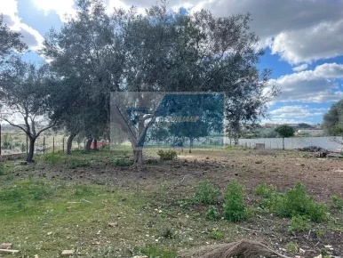 Foto Terreno edificabile in Viale Edoardo Garrone, Melilli Città Giardino
