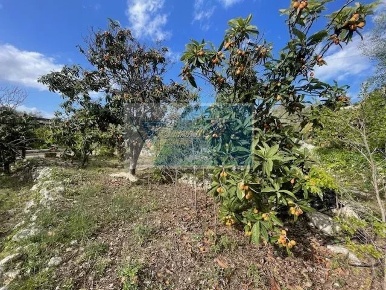 Foto Terreno agricolo in Via Salvo D'Acquisto, Siracusa in vendita