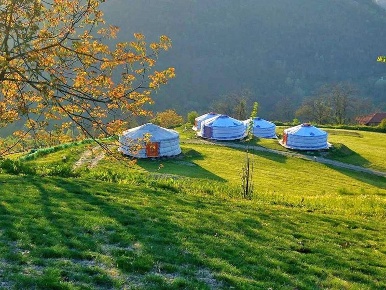 Foto Cessione attività a Bosia con 8 locali in vendita