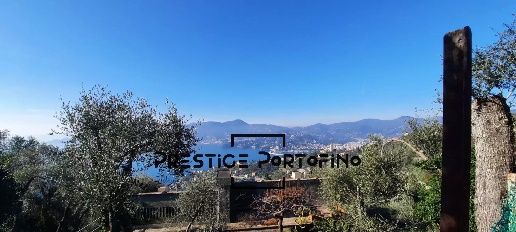 Foto Rustico a Zoagli in vendita