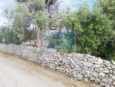 Foto Terreno agricolo in Traversa Vallone Carancino, Siracusa in vendita
