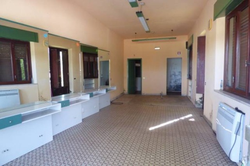 immagine annuncio 0 di 15