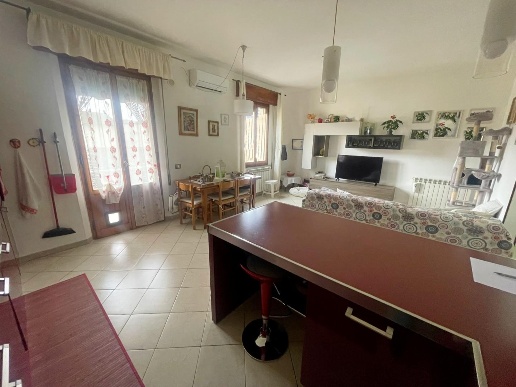 immagine annuncio 1 di 9