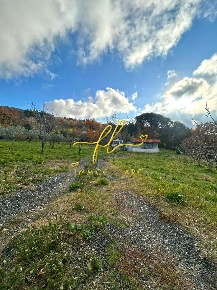 Foto Terreno agricolo a Castellina Marittima di 2000 m² in vendita