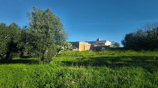 immagine annuncio 4 di 6