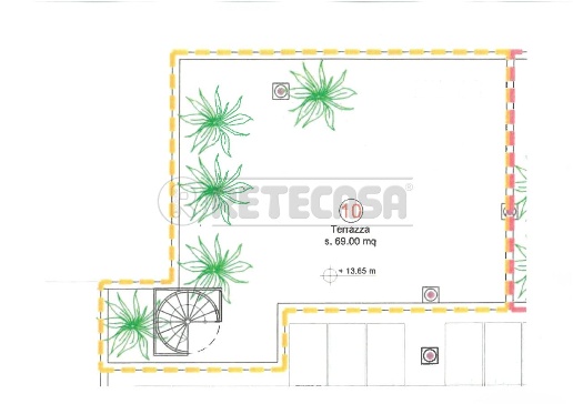 immagine annuncio 6 di 15