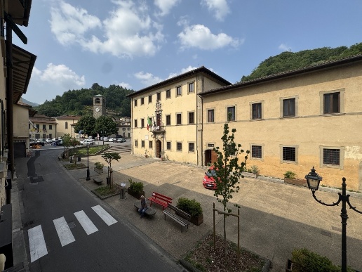 immagine annuncio 12 di 14