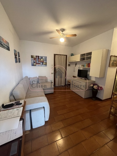 appartamento in affitto a Viareggio in zona Migliarina