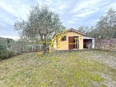 Foto Terreno agricolo a Rosignano Marittimo Rosignano Marittimo Paese