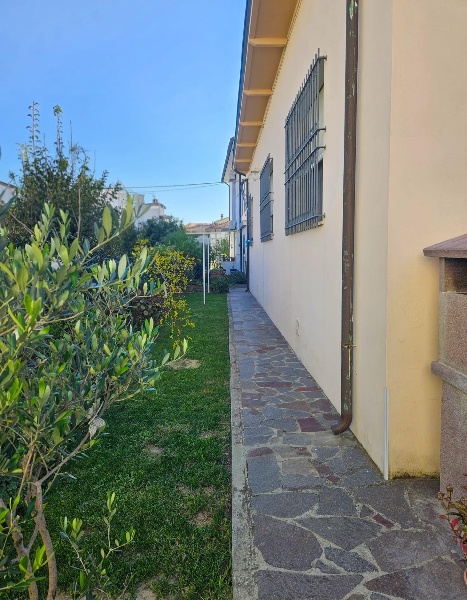 immagine annuncio 1 di 14