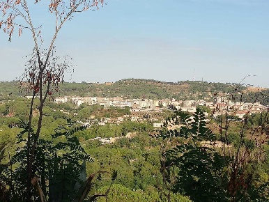 Foto Terreno agricolo in Contrada Piano Cannata Balatazza, Piazza Armerina