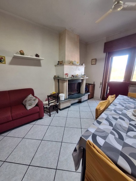 immagine annuncio 3 di 11