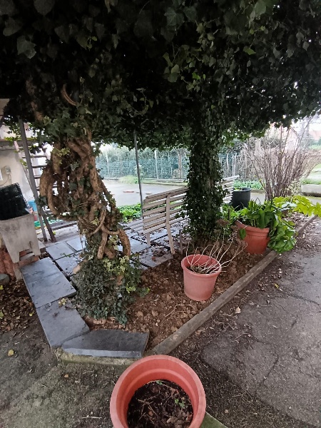 immagine annuncio 14 di 15