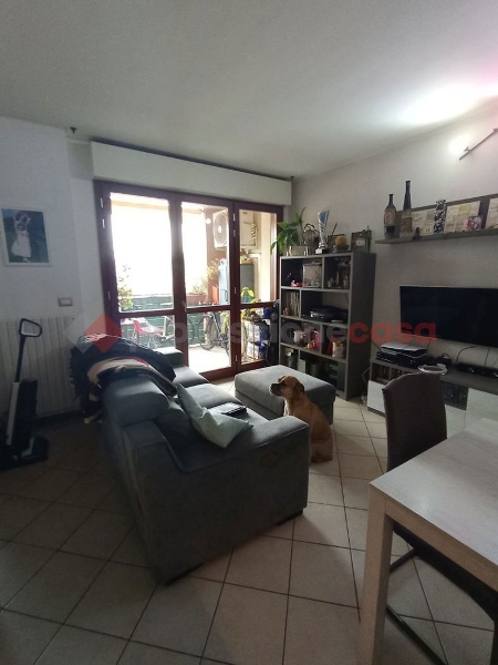 immagine annuncio 3 di 12