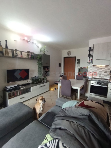 immagine annuncio 7 di 12