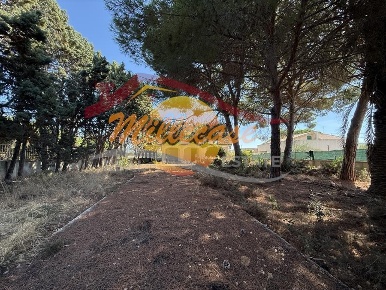 Foto Villa unifamiliare in VIA MAR DI BERING, Siracusa di 320 m² in vendita